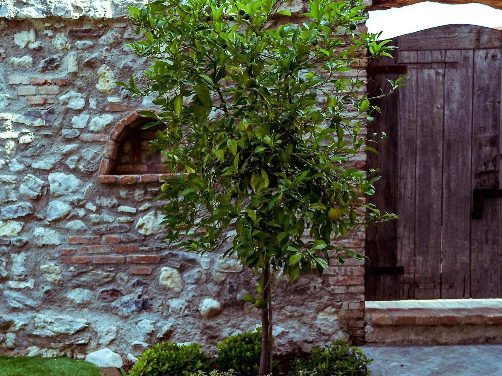 Villa Fontanelle Gardapartments Polpenazze del Garda Eksteriør billede